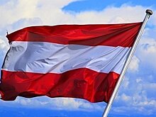 Австрия пообещала солидарность Ирландии
