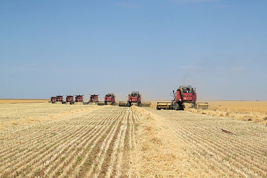 Стратегию осеннего сева обсудили в ходе Дня поля в Волгоградской области