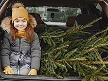 За эти новогодние украшения можно лишиться прав