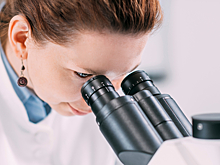 В России нашли ножи, сохранившиеся с эпохи сюнну до Средневековья