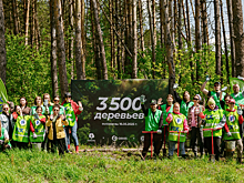 GRASS и Fix Price высадили 3 500 деревьев в честь Великой Победы