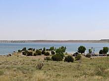 Мужчина спас из воды четырех детей ценой жизни