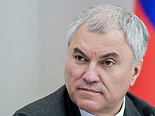 Володин призвал скорее ввести в оборот детские SIM-карты