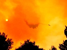 СМИ: семь самолетов и девять вертолетов тушат лесной пожар на греческом острове Эвбея