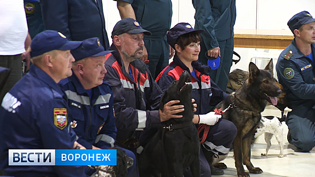 В Воронеже служебные собаки сдают экзамен на профпригодность