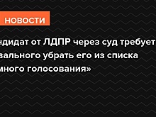 Кандидат от ЛДПР через суд требует от Навального убрать его из списка «Умного голосования»