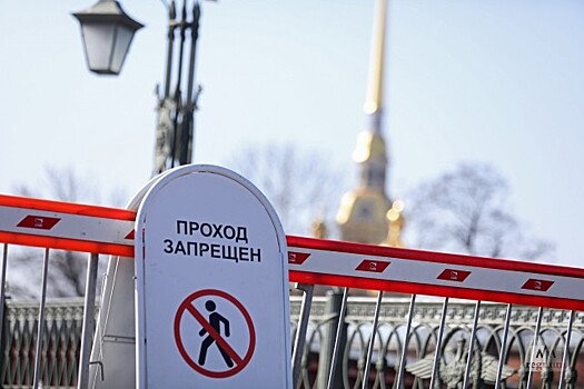 В Петербурге назвали сферы бизнеса, которые пострадают от закрытия регионов