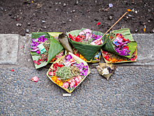 Туристам объяснили, почему нельзя трогать кананг сари на Бали