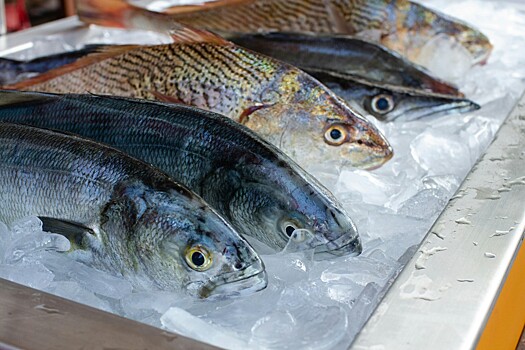 Эксперт назвал топ рыбных продуктов для экспорта в Мексику