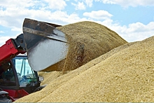 ВТБ продал свой зерновой актив в &laquo;Деметра-холдинг&raquo;