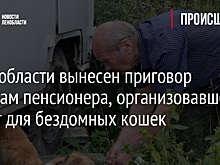В Ленобласти вынесен приговор убийцам пенсионера, организовавшего приют для бездомных кошек
