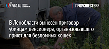 В Ленобласти вынесен приговор убийцам пенсионера, организовавшего приют для бездомных кошек