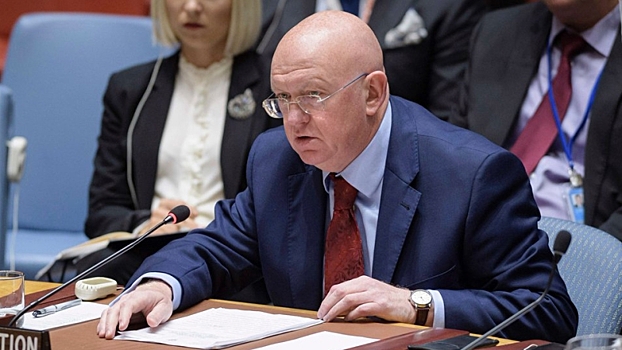 Слуцкий назвал сроки изгнания боевиков из Идлиба