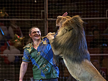 Лев напал на дрессировщика во время представления в Сочи. Артиста спасла жена