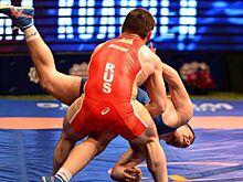 Румыния не предоставила бойцам РФ визы на чемпионат Европы