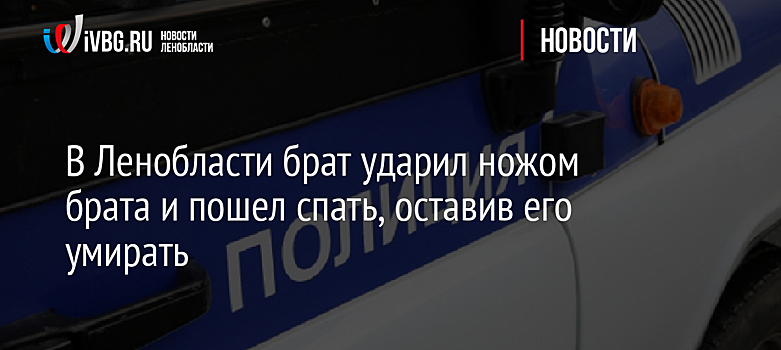 В Ленобласти брат ударил ножом брата и пошел спать, оставив его умирать