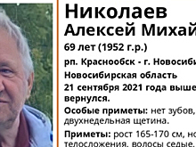 В новосибирском посёлке Краснообск пропал 69-летний Алексей Николаев
