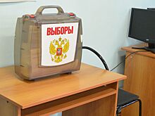 Досрочное голосование на выборах губернатора продлится 2 дня, на местных выборах – 12