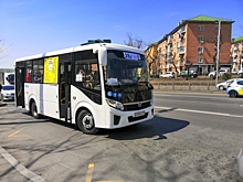 Мэрия Владивостока ищет водителей на новые автобусы с зарплатой от 120 тысяч