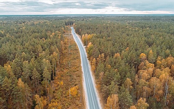Любимов рассказал о достижениях рязанских дорожников