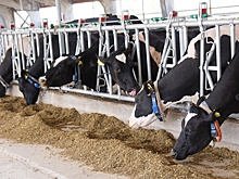 В Краснодаре открыли уникальный Центр молочных компетенций