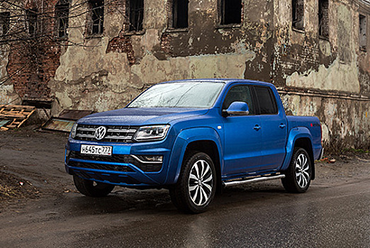 Волк одомашненный