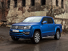 Волк одомашненный