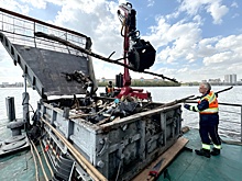 День эколога в России: дата, история и традиции праздника