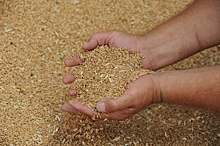 Волгоградская область экспортировала в Иран 50 тыс. тонн кормов