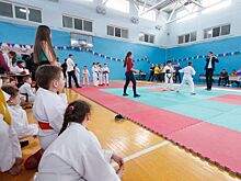 Юные каратисты почтут память воинов 30-й отдельной лыжной бригады