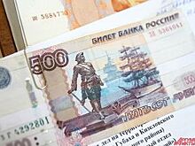 В Рязани фальшивомонетчики попались, заказав пиццу