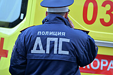 В Смоленской области столкнулись три фуры и микроавтобус, есть погибшие