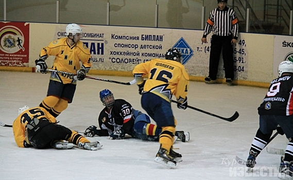 В Курской области завершился хоккейный сезон