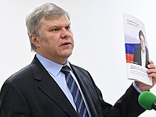 Митрохин рассказал, что его мэрская программа дополнит программу Явлинского
