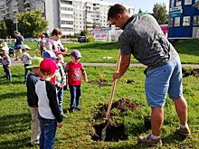 Барбарисы и туи высадили вологжане на месте нового сквера в Бывалово