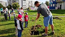 Барбарисы и туи высадили вологжане на месте нового сквера в Бывалово