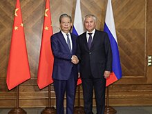 Вячеслав Володин поздравил Чжао Лэцзи с днем рождения