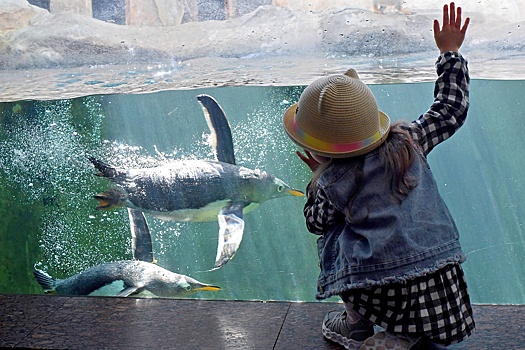 Более 200 животных родилось в 2025 году в Московском зоопарке