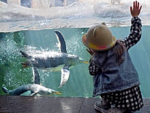 Более 200 животных родилось в 2025 году в Московском зоопарке