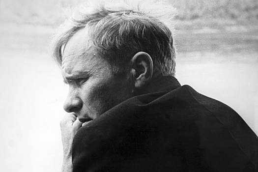 Какую обиду режиссер Шукшин не мог простить любимому артисту Куравлеву