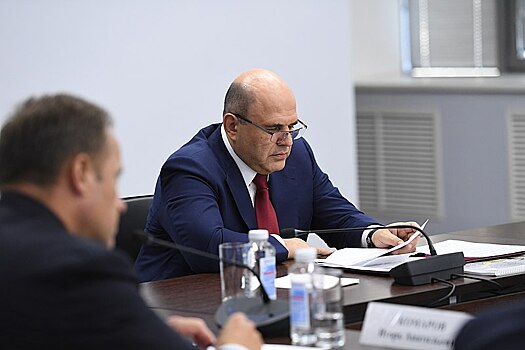 Михаила Мишустина просят отменить ПЦР-тесты при возвращении в Россию