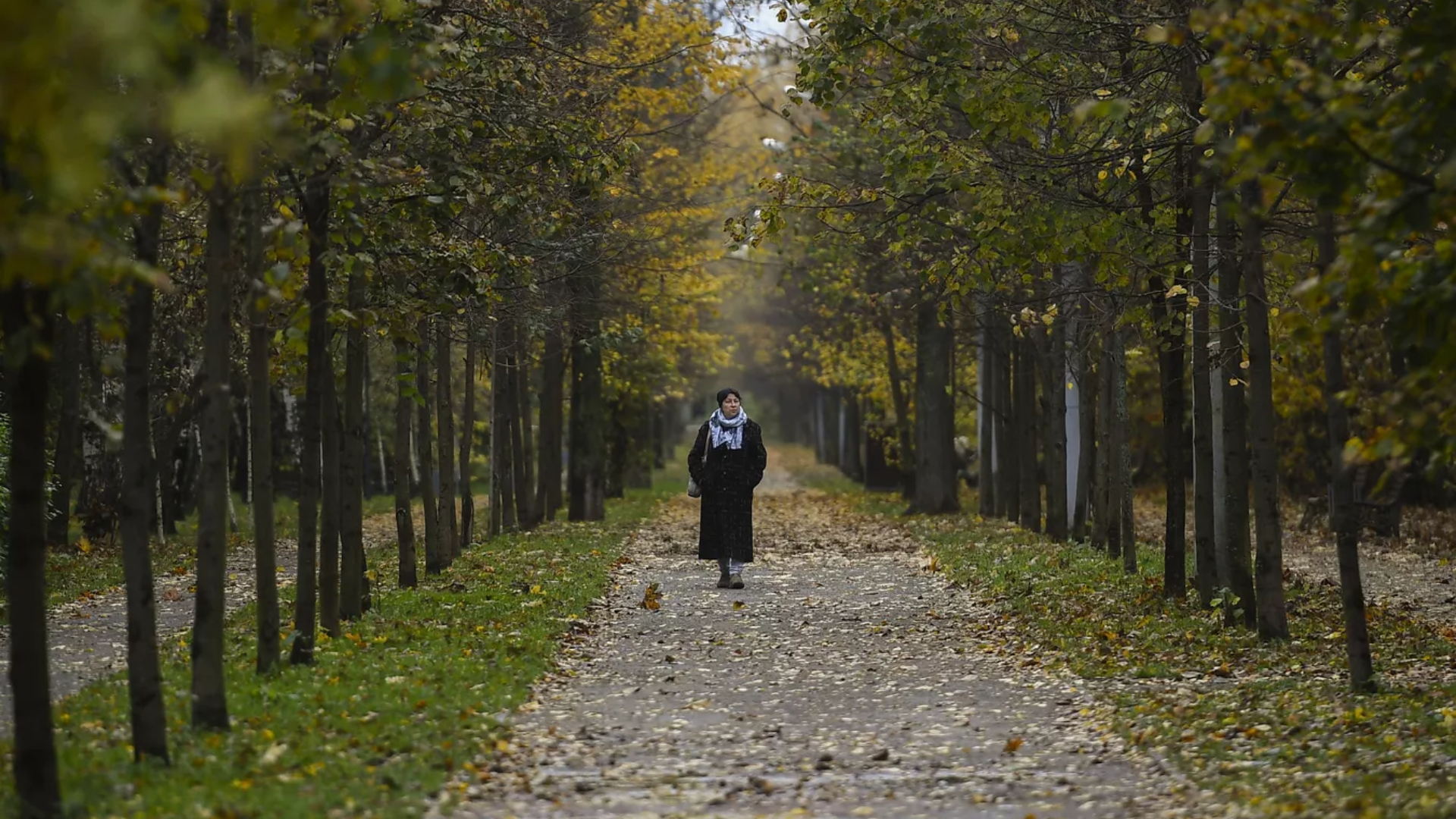 Жителям Москвы рассказали о погоде на следующей неделе