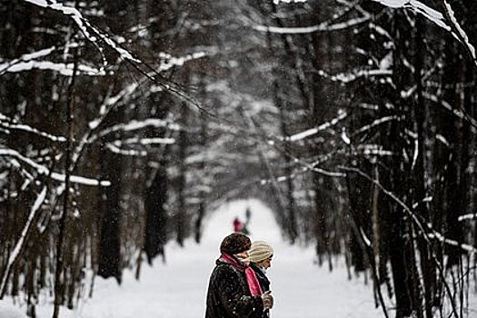 Раскрыты сроки перехода на общероссийский пенсионный возраст в новых регионах