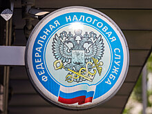 ФНС проверяет самозанятых: к чему готовиться и как не лишиться налоговых льгот