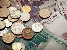 В Татарстане господдержку дополняют своими программами