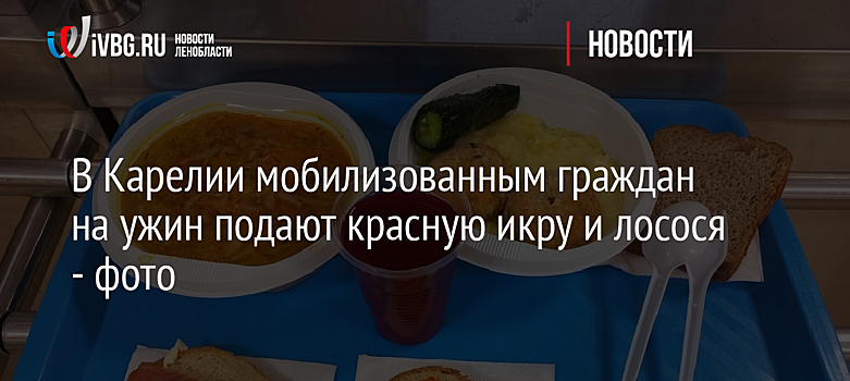 В Карелии мобилизованным гражданам на ужин подают красную икру и лосося - фото