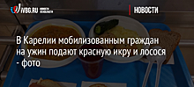 В Карелии мобилизованным гражданам на ужин подают красную икру и лосося - фото