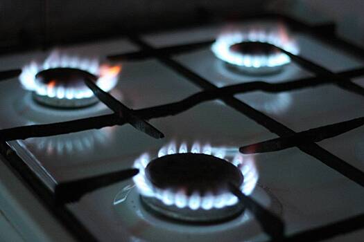 Россиянам анонсировали новые правила поверки газовых счетчиков