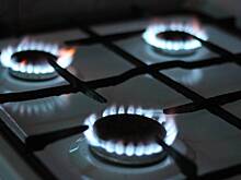Россиянам анонсировали новые правила поверки газовых счетчиков