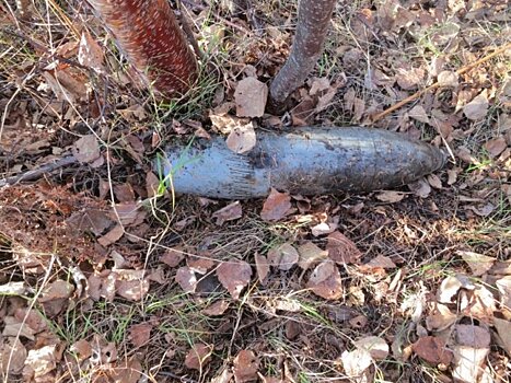 Под Солнечногорском найден артиллерийский снаряд